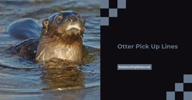 49+ Otter Pick up Lines