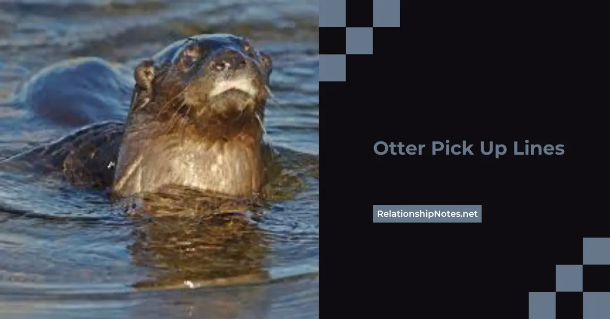Otter Pick up Lines