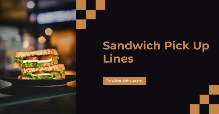 50+ Sandwich Pick up Lines