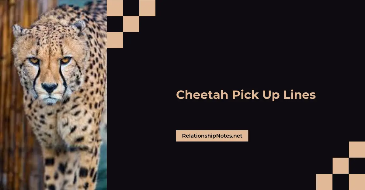 Cheetah Pick up Lines