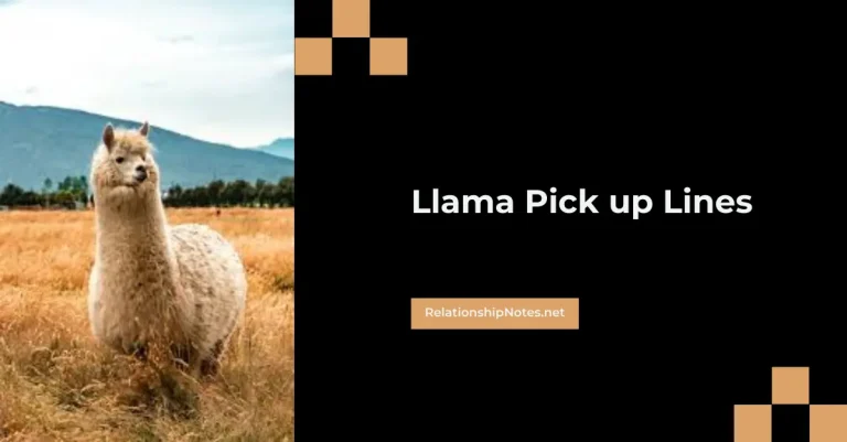 51+ Llama Pick up Lines